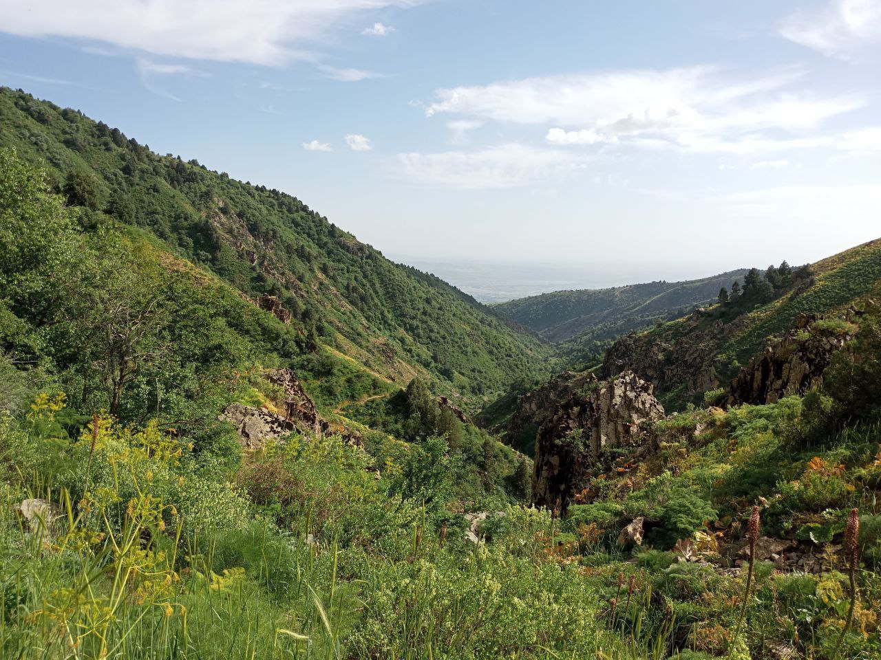 Ugom-Chatqol milliy tabiat bog'i