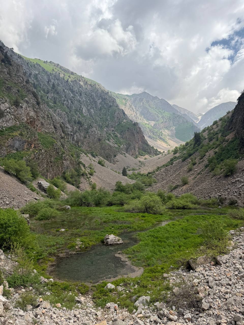 Ugom-Chatqol milliy tabiat bog'i