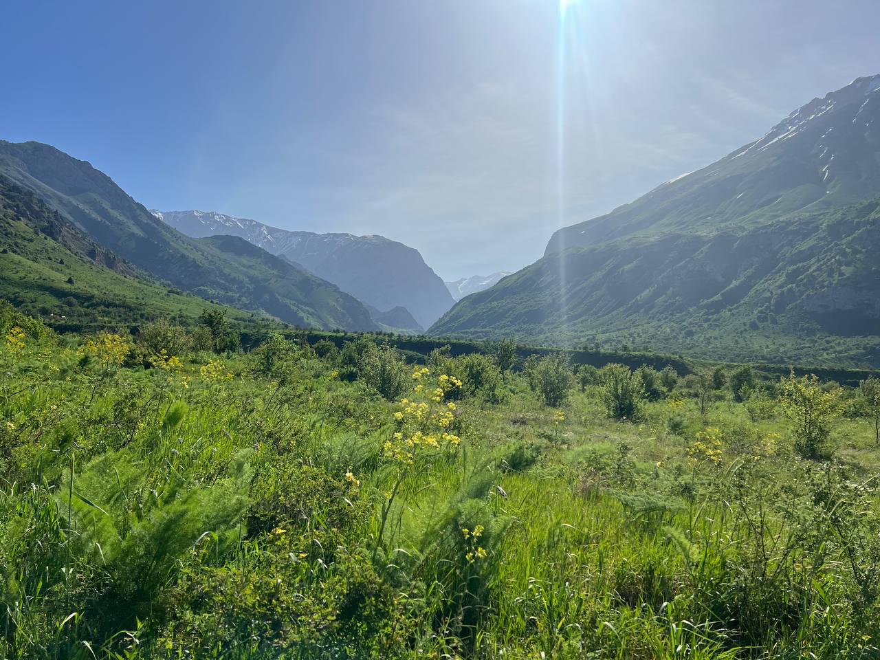 Ugom-Chatqol milliy tabiat bog'i