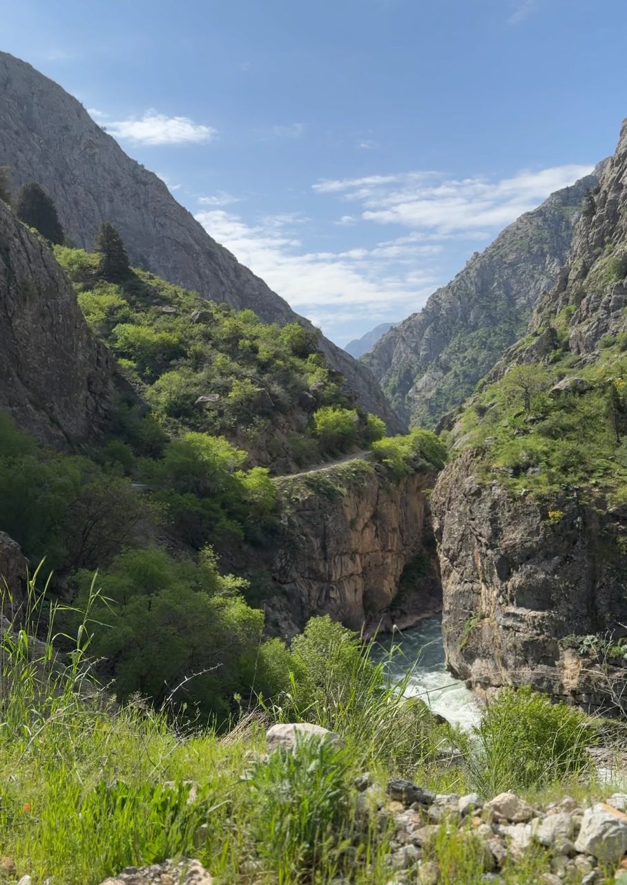 Ugom-Chatqol milliy tabiat bog'i