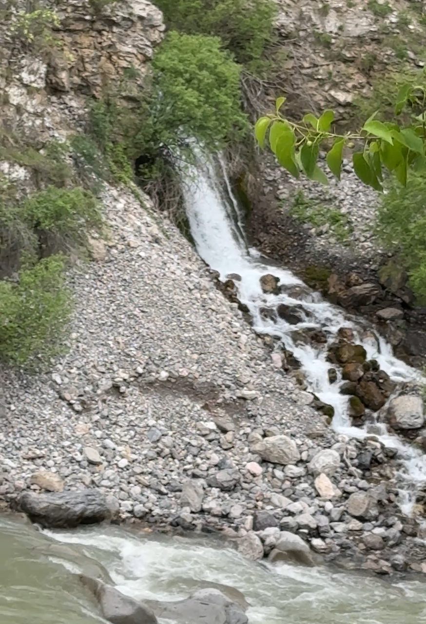 Ugom-Chatqol milliy tabiat bog'i