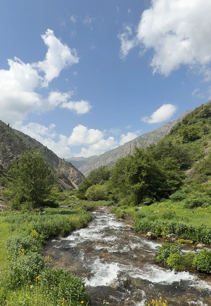 Ugom-Chatqol milliy tabiat bog'i